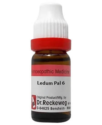 dr.-reckeweg-ledum-pal-dilutio